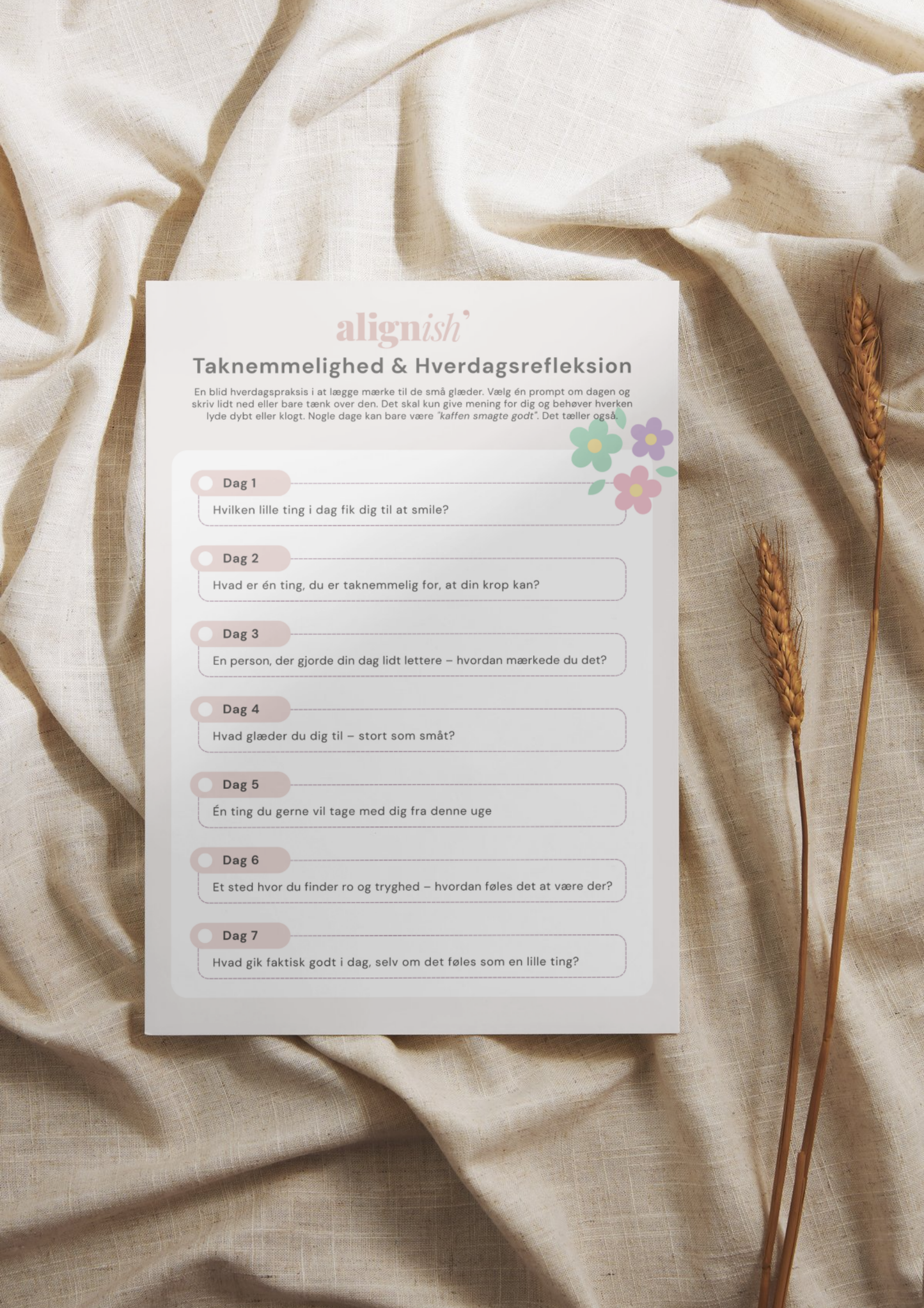 Taknemmelighed & refleksion (30 dage med opgaver)
